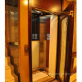 Fjzy-High Quality and Safety Home Lift Fjs-1620